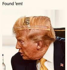 Where to hide the Epstein files ... 😂😂