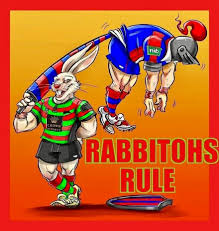 Pin By Jared Schnabl On South Sydney Rabbitohs Rabbits In Australia Comic Book Cover Cartoon