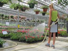 Travailler a 14 ans salaire. Emploi Etudiants Et Moins De 18 Ans Au Luxembourg Salaires Et Conditions