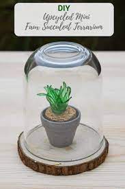 From the darling little bear and bunny characters woven throughout to the diy. How To Make A Plastic Bottle Faux Succulents Terrarium Plastic Bottle Crafts Bottle Crafts Faux Succulents