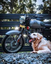 Royalenfield Royal Enfield Modified Royal Enfield Wallpapers Royal Enfield