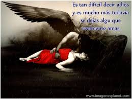 Https Encrypted Tbn0 Gstatic Com Images Q Tbn And9gcruxqldcrbb Glda Qvrbdz8bvi Kkftqqqog Usqp Cau