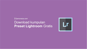 Download Rumus Preset Lightroom Gratis Lightroom Pengeditan Foto Di Pantai