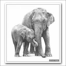 It's like a rough work of final product or baby pencil drawing is among the easiest and efficient disciplines, which you can take as a go time as well as full time interest or task. Jumbo Family Elephant And Baby Pencil Drawing Fine Art Print