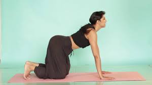 The Cat And Cow Pose Anshuka Yoga Youtube Anshuka yoga 10.719 views4 year ago. the cat and cow pose anshuka yoga