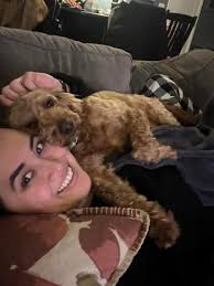 Just adopted this sweetie from local rescue. Face in hands day one happy at  the lake day 2. She is a love ❤️ Rescue said she's lab/staffy mix. Her name  is Millie. |