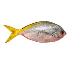 Bahan dan bumbu ikan goreng acar kuning: Resepi Opor Ayam Bahasa Inggris Www Tengokresepi Buzz