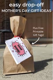 Moms are notoriously hard to shop for, especially if they're a little on the picky side. Easy Drop Off Mother S Day Gift Ideas Plus Free Printable Gift Tags Lalymom