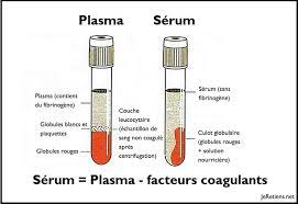 Solide, liquide, gazeuse et plasma. Quelle Est La Difference Entre Plasma Et Serum