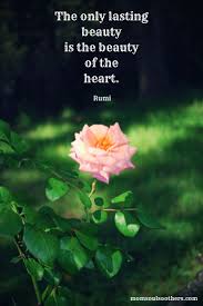 Soul Friend The Sacred Space Of Silence In 2020 Nature Quotes Mother Nature Quotes Soul Quotes