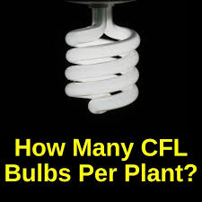 How Many Cfls Per Plant Using Watts And Size Grow Light Info