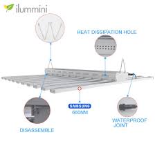 Best led grow lights for every budget. China Ilummini Super Bright Indoor Garden Greenhouse Plant 400w 640w 800w Full Spectrum Led Grow Light China Grow Led Light Led Grow Light Bar
