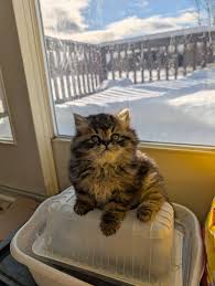 Absolutely beautiful sunshine this morning