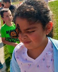 Butterflies in the office window thanks to Zoey V