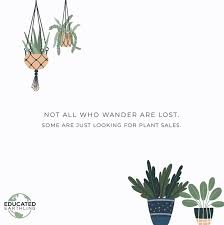 Plant Memes Plant Jokes Plant Sale Plants Quotes