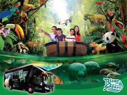 Plan to visit night safari, singapore. Singapore Zoo Night Safari River Safari Tours Big Bus Duck Singapore City Tours