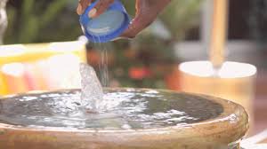 Maybe you would like to learn more about one of these? How To Keep Garden Fountain Water Clean Landscaping Tips Youtube