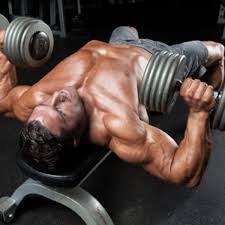 How To Do The Dumbbell Bench Press Muscle Performance