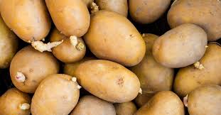 Avoid frying potatoes, especially in vegetable oils. Sprouted Potatoes Are They Safe To Eat