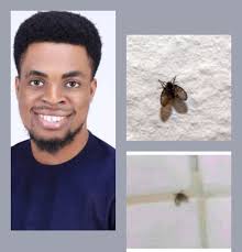 Have you ever seen a Bathroom Moth Fly (Clogmia albipunctata)? You won't  find them out in nature too often, but they can be found around wetlands or  in tree holes. Closer to