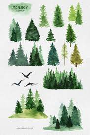 Watercolor Forest Clipart Woodland Pine Trees Landscape Etsy In 2021 Tree Watercolor Painting Pine Tree Drawing Pine Tree Silhouette