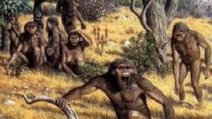 10 Jenis Jenis Manusia Purba Di Indonesia Dan Penjelasannya Materiips Com