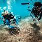 Coral Restoration Workshop (June 2026)