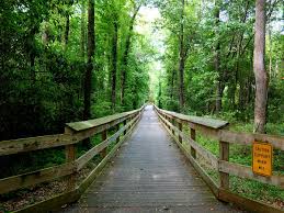 Cape Fear River Trail