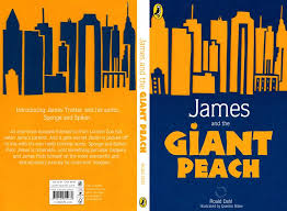 Book Jacket Design Final Design Book Cover Design Book Design Cover Design