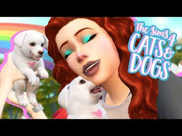 The pets in the sims are immune to the harmful effects of irresponsible breeding, but our furry friends in the real world are not. Adopting A Puppy The Sims 4 Cats And Dogs Youtube