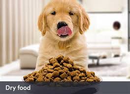 Please call your local retailer for product selection, current hours, and options for delivery or pickup. Diet Nutritious Food For Your Pet Bel Pet Zone Pet Store For Dog