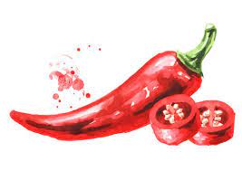 13 095 Best Chili Pepper Drawing Images Stock Photos Vectors Adobe Stock Download this free vector about hand drawn chili peper collection, and discover more than 12 million professional graphic resources on freepik. 13 095 best chili pepper drawing images