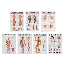3 Pcs 7pcs Acupuncture Massage Point Map Chinese English Meridian Acupressure Points Posters Chart Wall Map For Medical Teaching