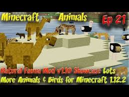 Sep 10, 2017 · today minecraft has a brand new mod and this is the zoo mod that adds in many new animals into minecraft! Natural Fauna Mod Animal Showcase V1 10 Minecraft Animals Ep21 Minecraft 1 12 2
