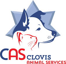 Apply now for jobs hiring near you. Animal Services City Of Clovis