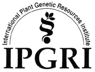 Image result for Solanum grossidentatum