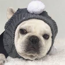 White french bulldog keyring gift for bulldogs lover dog pendant bag accessories. Classic Dog Hat French Bulldog Accessories For Large Dogs Cat Hat Solid Warm Pet Hats Fisherman S Hats For Dogs Puppy Dog Cap Dog Caps Aliexpress