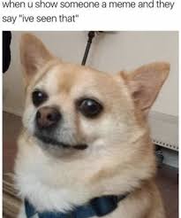 100 Chihuahua Memes That Ll Make You Laugh Harder Than You Should Chihuahua Funny Funny Animal Memes Funny Animal Jokes