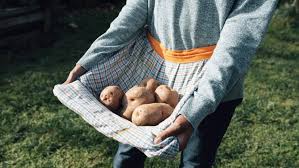 6.465 ergebnisse zu garten, wohnung mieten. Ein Garten Zur Miete Gemusebauer Fur Eine Saison
