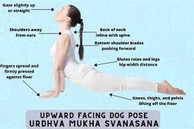 We did not find results for: Yoga For Herniated Disc 6 Poses To Relieve Pain Treat Slip Disc Fitsri