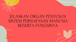 Check spelling or type a new query. Jelaskan Organ Penyusun Sistem Pernapasan Manusia Beserta Fungsinya