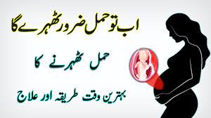 Bay aulad logon jaldi hamal thehernay k liye ka tarika. How To Get Pregnant Fast Jaldi Hamal Hone Ka Tarika Pregnant Tips In Urdu Youtube