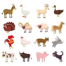 Set Cute Cartoon Animals Collection Sheep Goat Cow Donkey Horse Cats Illustration Cute Cartoon Animals Cartoon Styles