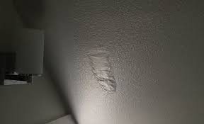 There is another, more dangerous situation, when the water forms a bubble in the ceiling. Roof Leaks 101 Find And Fix Drips In Your Seattle Home