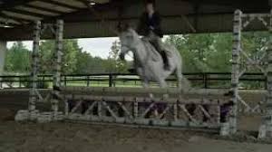 Последние твиты от the gift horse (@gifthorsede). Gift Horse Cute766
