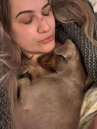 Hi, For Border Collie owners, what supplement or food or any tips for hair  loss (I know it is normal in that breed) but if you know of something to  improve it