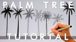 How To Draw A Palm Tree 6 Palm Tree Doodles Draw With Me Youtube Draw the trunk start by drawing the trunk by drawing two lines parallel to each other. how to draw a palm tree 6 palm tree doodles draw with me