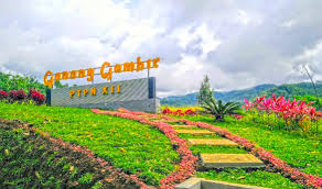 Kawasan wisata yang terletak di lereng pegunungan ini merupakan obat bagi anda yang tidak mempunyai waktu untuk datang ke tempat yang sama di puncak kota bogor. Potret Indah Kebun Teh Gunung Gambir Jember Harga Tiket Super