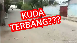 We did not find results for: Viral Video Penampakan Kuda Terbang Youtube