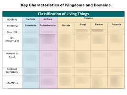 Key Characteristics Of Kingdoms And Domains Diagram Quizlet